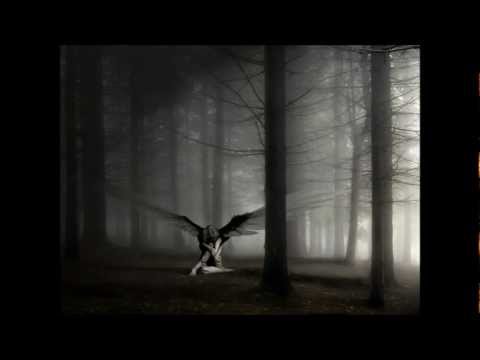 P.T.T.G. Hall Of Mirrors Video (Acoustic Version)