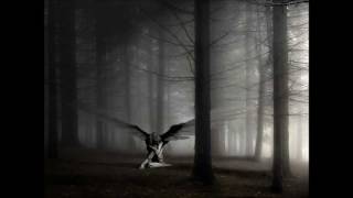 P.T.T.G. Hall Of Mirrors Video (Acoustic Version)