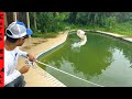 SAVING FISH in ABANDONED SWIMMING POOL! Fishing them Out