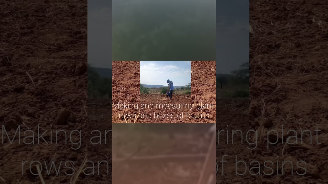 Some projects are super specific, like a focus on super dry areas