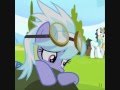put your flank in the air 