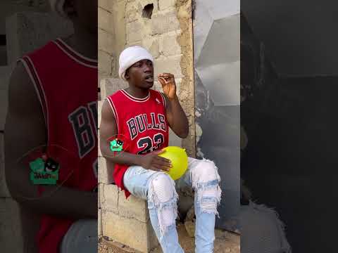 Dogs funny videos... Drive cocking...