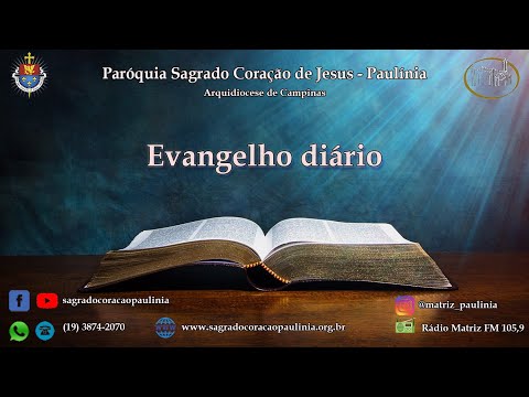 Reflexão do Evangelho (07/07/2020) - Pe. Paulo