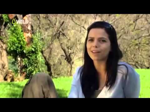 download lagu mp3 mp4 Mandy Richardson Kevin Richardson, download lagu Mandy Richardson Kevin Richardson gratis, unduh video klip Mandy Richardson Kevin Richardson