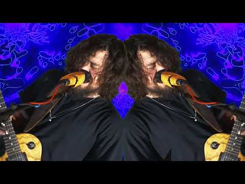 The Grizzled Mighty - What Happened To You - Freakout Live Session