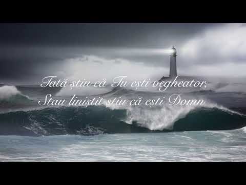 Ligia Bodea - Ține-mă în Mâna Ta