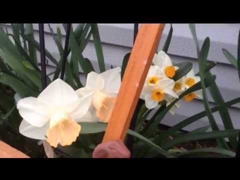 Happy Birthday Holli!