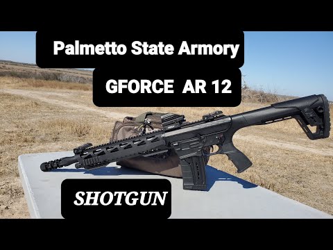 GForce Arms - GF1 Semi-Automatic Shotgun Field Overview