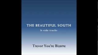 The Beautiful South - Trevor You&#39;re Bizarre