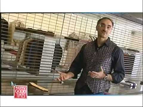 Studio One on NDTV Good Times in Cracking the Code