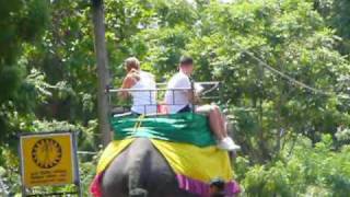 preview picture of video 'Elephant Riding at Habarana, Sri Lanka'