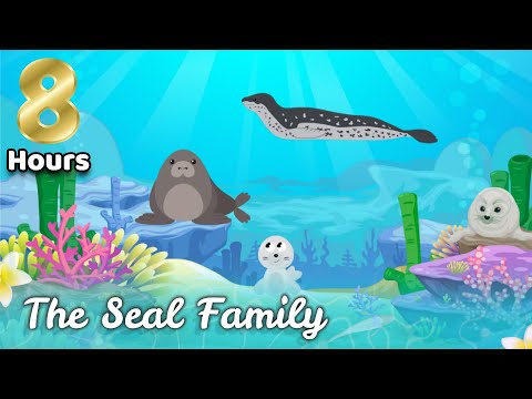 Bedtime Sleep Story for Kids | 8 HOURS THE SEAL FAMILY | Sleep Meditation for Children
