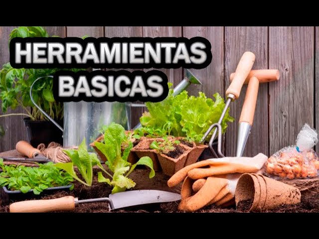Vídeo relacionado con Kit De Forrajeo, Gran Capacidad, 43,2 X 40,6 Cm, De Forrajeo De, Kit De Herramientas De Recolección De, Uso Versátil, para Bosque, Bosque, Desierto, Sendero, Montaña, Patio Trasero