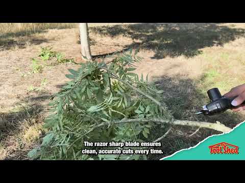 ToolShed TSCPS5 Cordless Pruning Shears