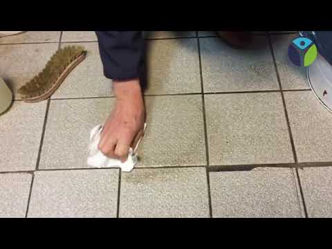 Video 1