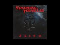 Strapping Young Lad - Possessions
