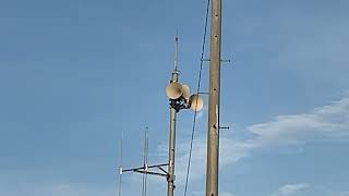 【共同収録】愛媛県伊予市 18時 夕日