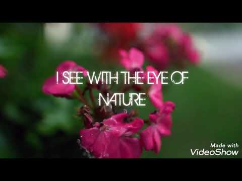 Nisreen Al Sweiti/Azmi Almufti Prep School/Jordan/I SEE WITH THE EYE OF NATURE