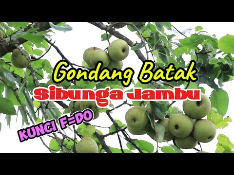 GONDANG BATAK SIBUNGA JAMBU KUNCI F=DO FULL BASS MENEMANI MUSIK DIPERJALANAN
