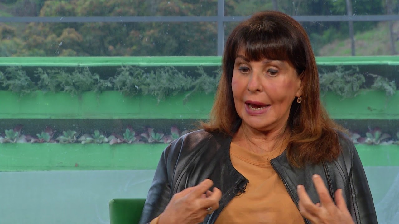 Como combater a violência nas escolas? | Conexão