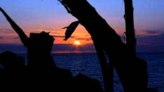 Morgan Heritage - What We Need Is Love