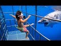 5 YR OLD Scuba Dives with GREAT WHITE SHARKS in Mexico!!