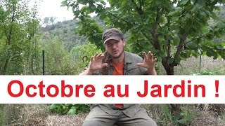 Click here to play the video