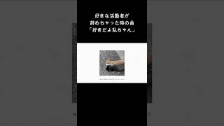 好きな活動者が辞めちゃった時の曲「好きだよ私ちゃん」  #ボカロ #vocaloid #おすすめ