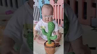 Dancing Cactus Toy