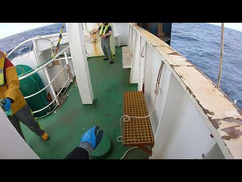 Sunbeam FR287 Sandeels June 2019