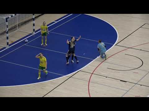 Maalikooste: Ilves FS - Halikko