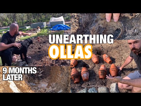 Unearthing Ollas: 9 Months Later
