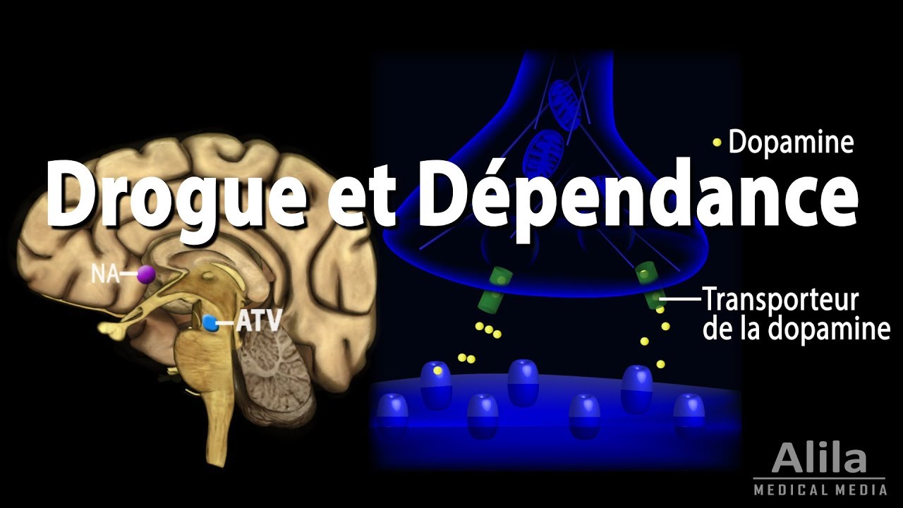 Addiction Mechanism in the Brain, Animation