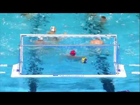 Novi Beograd vs Spandau 04 Berlin - Highlights - Champion's League 2022-2023 - Round 14