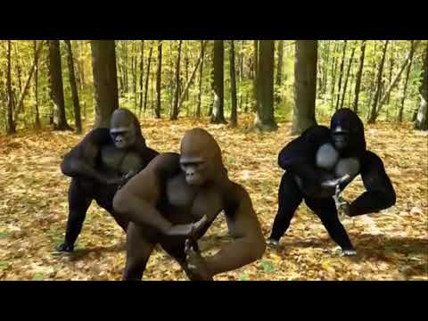 GAGA SIYUM DI DI COMEDY ANIMATION MIX MUSIC DJ SAMI FALEKON  2018  0923131437