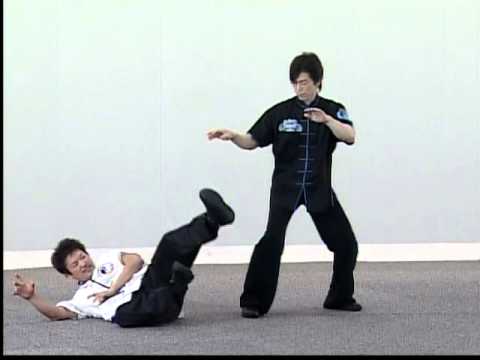 「中国武術の防御概念 —- 貼身による防御」　（宮平保先生）