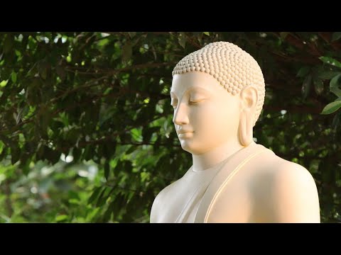 NL Retreat September 2021 - Day 2 of 3 - MN 111 Anupada Sutta - Jhanas