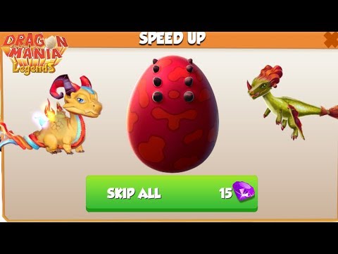 How to breed Hypoestes dragon - Gameplay - Dragon Mania Legends - part 754 HD