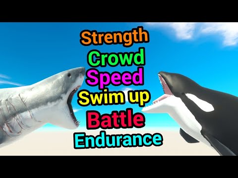 Battle ability Orca vs Great white shark Animal Revolt Battle Simulator