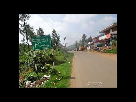 [Wikipedia] Thangadu