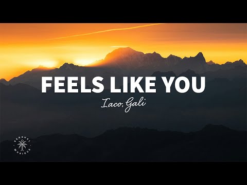 Iaco, Gali - Feels Like You (Lyrics)