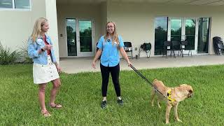 Public Service Pre-Assessement | Southeastern Guide Dogs