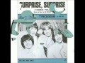 The Troggs - Surprise Surprise (I Need You) 