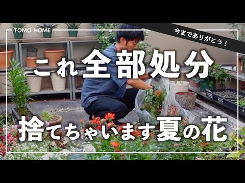 旧暦: 月のガーデニング