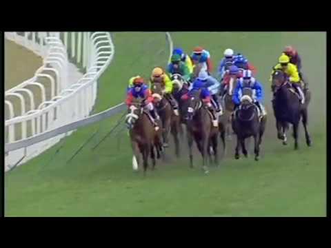 2016.07.02 Golden Slipper (RSA) - Final Judgement