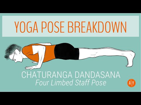 Yoga Pose Breakdown | Chaturanga Dandasana — Low Plank Pose | Adventure Yoga with Stephen Ewashkiw
