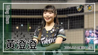 【台湾チア】黃澄澄 | Wing Stars | 雄鷹無敵 [中文歌詞]