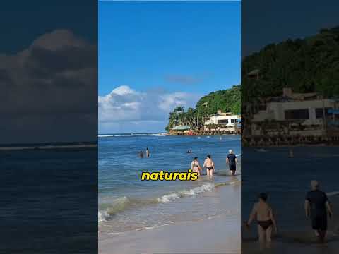 🌴🐬 PRAIA DE PIPA: O DESTINO mais DESLUMBRANTE do BRASIL na PRÁTICA! ✨
