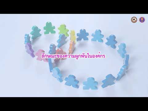 เซแกนให้ความแข็งแรง เพิ่มความไวของอวัยวะเพศชาย