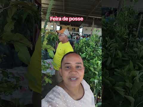 @feira #posse goias#